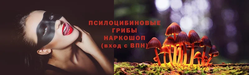 OMG как войти  Ак-Довурак  Галлюциногенные грибы Magic Shrooms  купить  